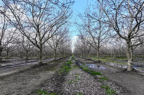 Other - 0 Road 180, Strathmore, CA 93267 photo 3 of 8