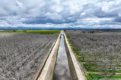 View/Area - 0 Road 180, Strathmore, CA 93267 photo 1 of 3