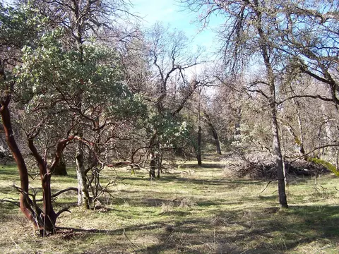 36 Jean Rd W, Oakhurst, CA 93644