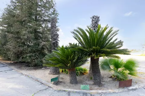 Exterior - 12265 E Dinuba Ave, Selma, CA 93662 photo 4 of 19