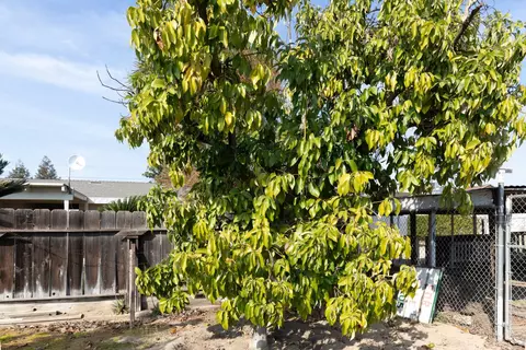 Exterior - 12265 E Dinuba Ave, Selma, CA 93662 photo 17 of 19
