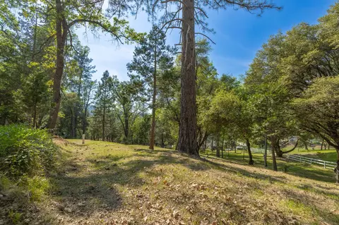 1 Oak Lane-apn 057-310-016 Ln, Oakhurst, CA 93644