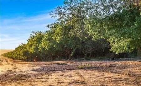 1 Shields, Firebaugh, CA 93622 photo 17