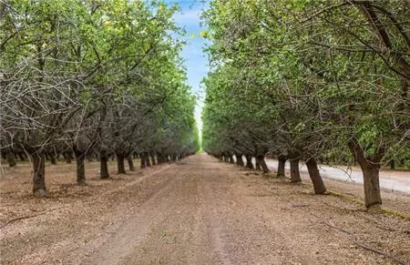 1 Shields, Firebaugh, CA 93622 photo 16