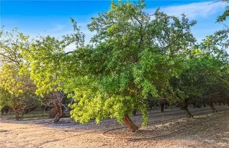 1 Shields, Firebaugh, CA 93622 photo 14