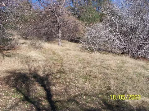 31 Hang Treen Ct, Oakhurst, CA 93644 photo 2