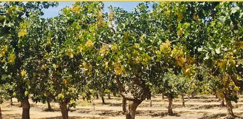 27 Road 27 Ave 20 12, Madera, CA 93638