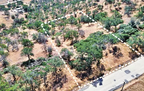 391 Sunflower Ln, Yokuts Valley, CA 93675