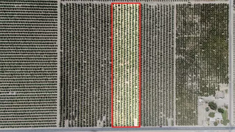 0 Road 68, Dinuba, CA 93618 photo 3