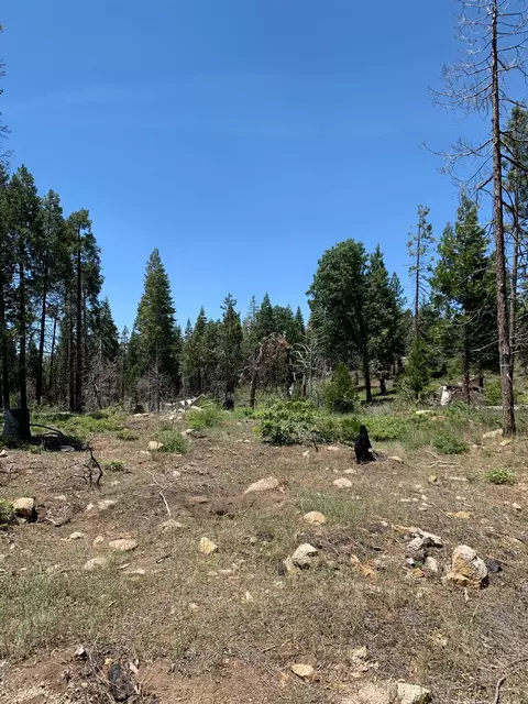 1 Shaver Lk, Shaver Lake, CA 93602