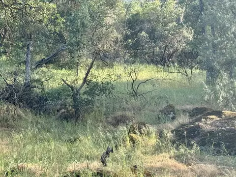 1 Road 400, Coarsegold, CA 93614