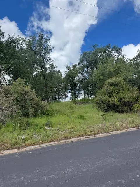 0 Wintergreen, North Fork, CA 93643 photo 3