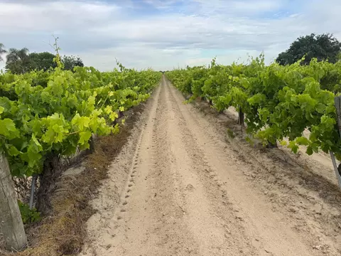 8138 S Kenneth Ave, Fowler, CA 93625