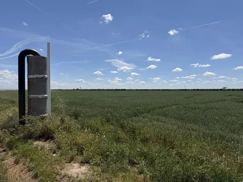 View/Area - 8841 Cross Rd, Chowchilla, CA 93610 photo 7 of 8