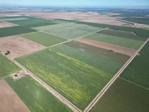 8841 Cross Rd, Chowchilla, CA 93610