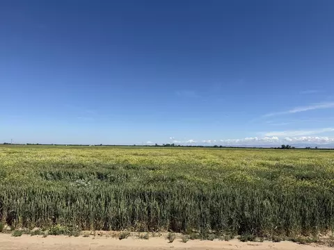 View/Area - 8841 Cross Rd, Chowchilla, CA 93610 photo 5 of 8