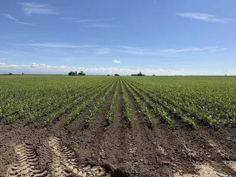 Other - 8841 Cross Rd, Chowchilla, CA 93610 photo 8 of 9