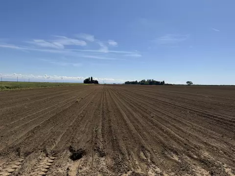 Other - 8841 Cross Rd, Chowchilla, CA 93610 photo 7 of 9