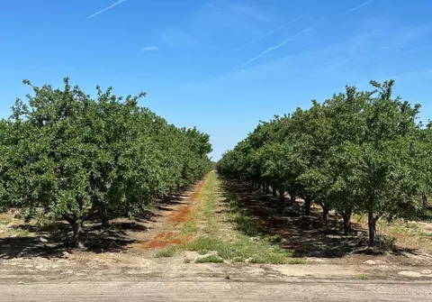 11841 S Hughes Ave, Caruthers, CA 93609