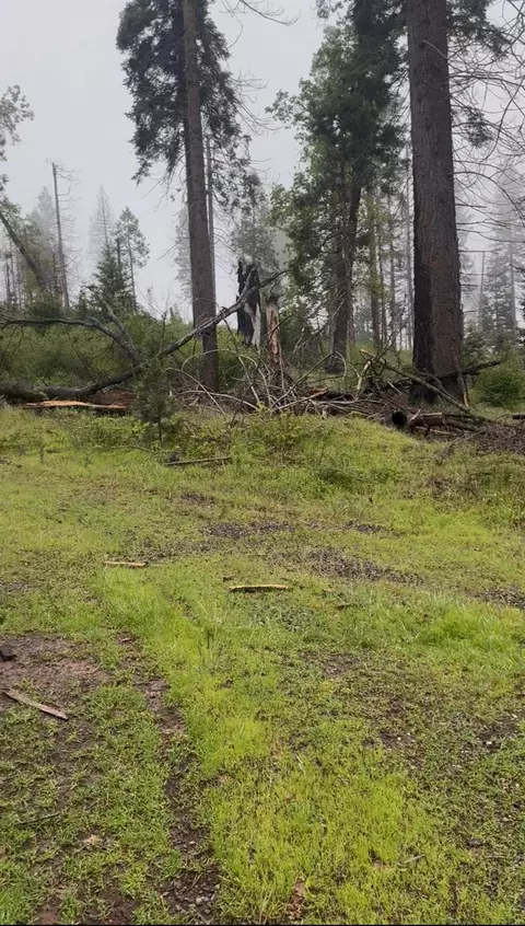 0 Lower Cressman, Auberry, CA 93602