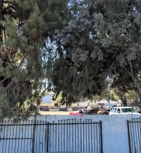 2012 E Clay Ave, Fresno, CA 93701