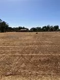 6960 N Highland Ave, Clovis, CA 93619