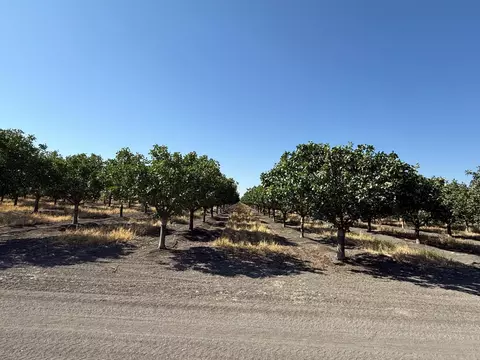 7000 W South Ave, Tranquillity, CA 93668