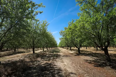 Other - 0 Thorton Rd, Merced, CA 95341 photo 6 of 9