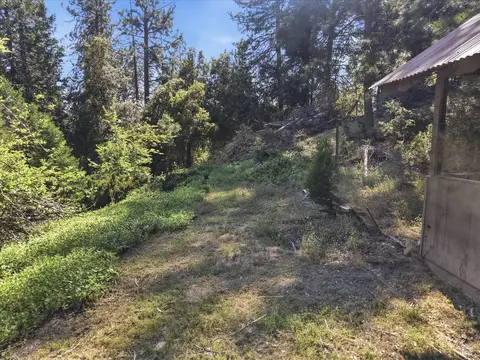 Exterior - 45167 Tolladay Rd, Oakhurst, CA 93644 photo 18 of 21