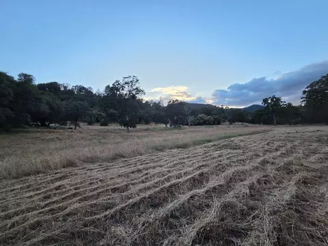 Other - 33555 Merrill Ranch Rd, O Neals, CA 93645 photo 6 of 14