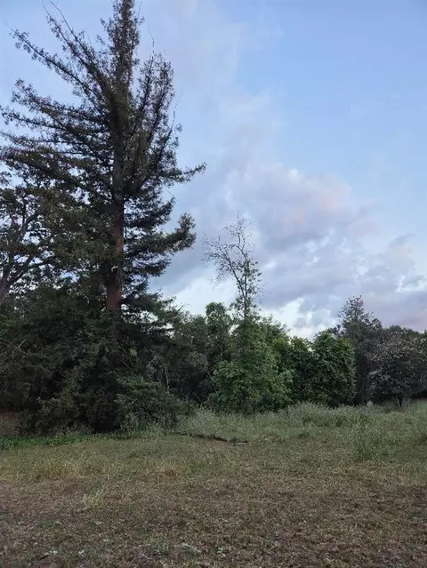 Other - 33555 Merrill Ranch Rd, O Neals, CA 93645 photo 10 of 14