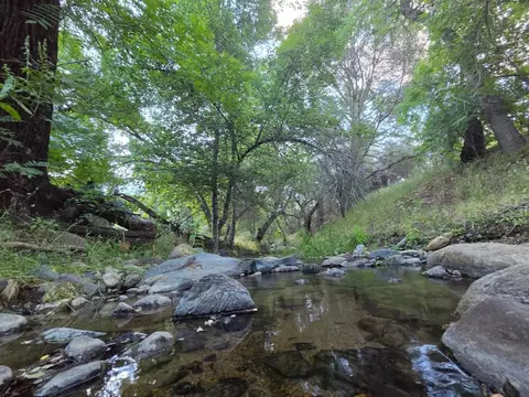 Other - 33555 Merrill Ranch Rd, O Neals, CA 93645 photo 3 of 14