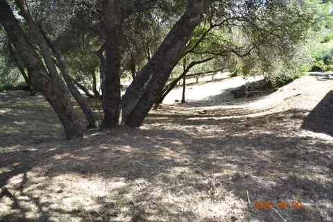 Exterior - 54016 Road 200, North Fork, CA 93643 photo 9 of 12