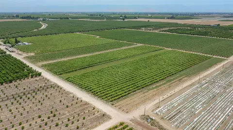 View/Area - 11378 E Dinuba, Selma, CA 93662 photo 12 of 20