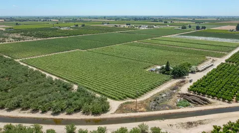 View/Area - 11378 E Dinuba, Selma, CA 93662 photo 11 of 20