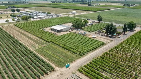 Other - 11378 E Dinuba, Selma, CA 93662 photo 12 of 23