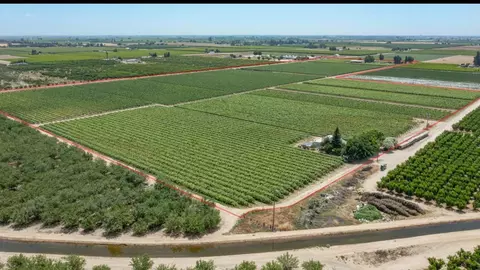 Other - 11378 E Dinuba, Selma, CA 93662 photo 10 of 23