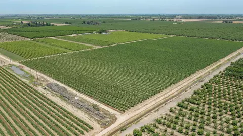 Other - 11378 E Dinuba, Selma, CA 93662 photo 14 of 23