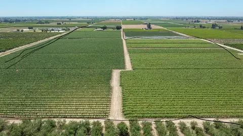 Other - 11378 E Dinuba, Selma, CA 93662 photo 16 of 23