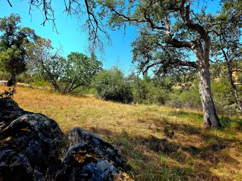 2 Corral Dr, Coarsegold, CA 93614 photo 5