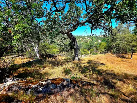 2 Corral Dr, Coarsegold, CA 93614 photo 8