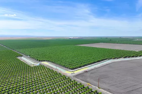 View/Area - 7802 S James Rd, Tranquillity, CA 93668 photo 7 of 8
