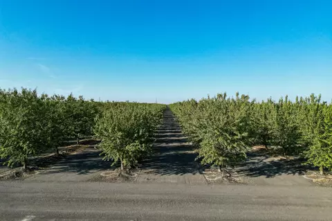 Other - 7802 S James Rd, Tranquillity, CA 93668 photo 13 of 13