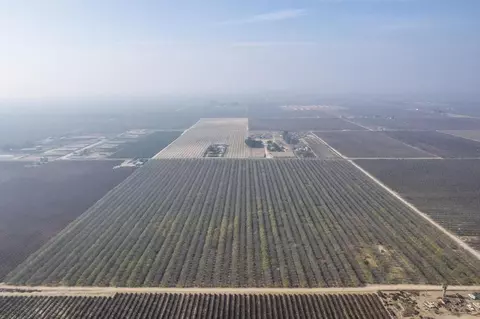 0 S Marks, Caruthers, CA 93609