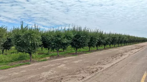 6539 Road 29, Madera, CA 93637