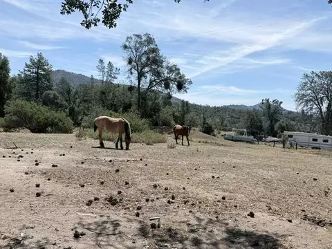 58292 Road 225, North Fork, CA 93643 photo 26