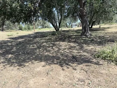 58292 Road 225, North Fork, CA 93643 photo 8