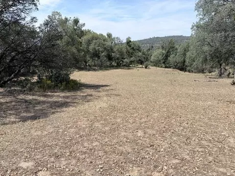 58292 Road 225, North Fork, CA 93643 photo 5