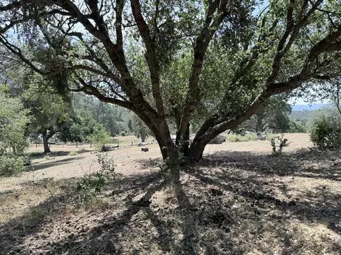 58292 Road 225, North Fork, CA 93643 photo 16