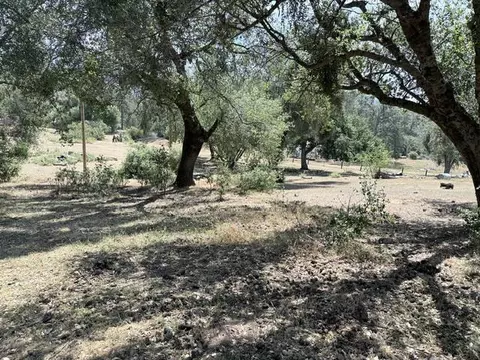 58292 Road 225, North Fork, CA 93643 photo 17